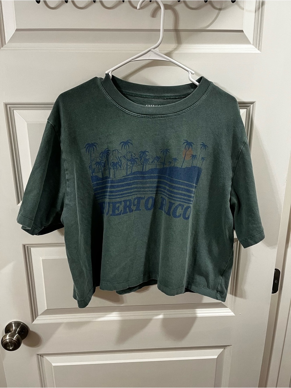 American Eagle Outfitters Green Graphic Puerto Rico Tee